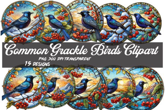 Download Common Grackle Bird Clipart PNG - Bird Collection