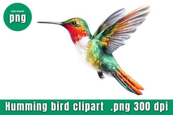 Download Illustrations Hummingbird - Bird Collection
